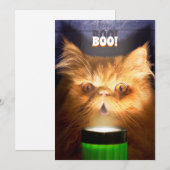 懐中電灯を持つ猫 招待状 (正面/裏面)