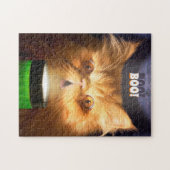 懐中電灯付き猫 ジグソーパズル (横)