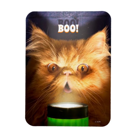 懐中電灯付き猫 マグネット (縦)