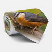 懐疑的な赤い胸を持つ裸戸 ネクタイ (ロール)