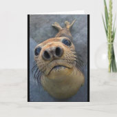 「懸命で離れす** カード (正面)