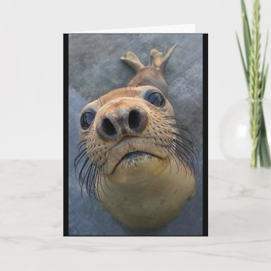 「懸命で離れす** カード (正面)