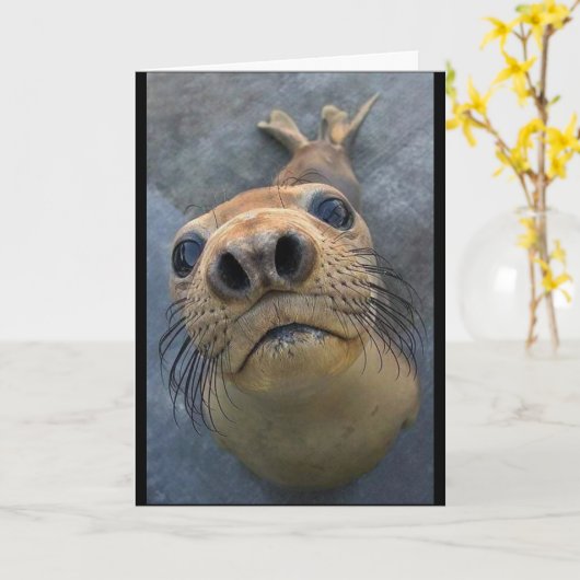 「懸命で離れす** カード (黄色い花)