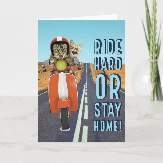 懸命に乗りますか、または-モペットの猫を家に居て下さい カード (正面)