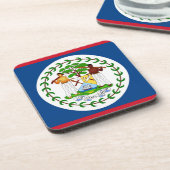 懸命のベリーズ国旗を持つプラスチックのコースター コースター (左側)