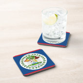 懸命のベリーズ国旗を持つプラスチックのコースター コースター (右側)