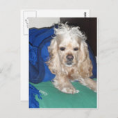 懸命の夜 ポストカード (正面/裏面)