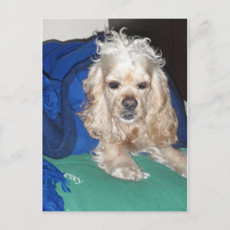 懸命の夜 ポストカード