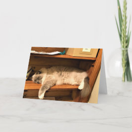 懸命の日のオフィス、カード カード