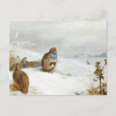 懸命の時代 – ウズラとウサギとアールバード シーズンポストカード (正面)