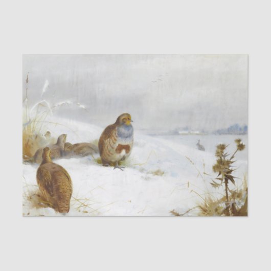 懸命の時代 – ウズラとウサギとアールバード 薄葉紙 (正面)