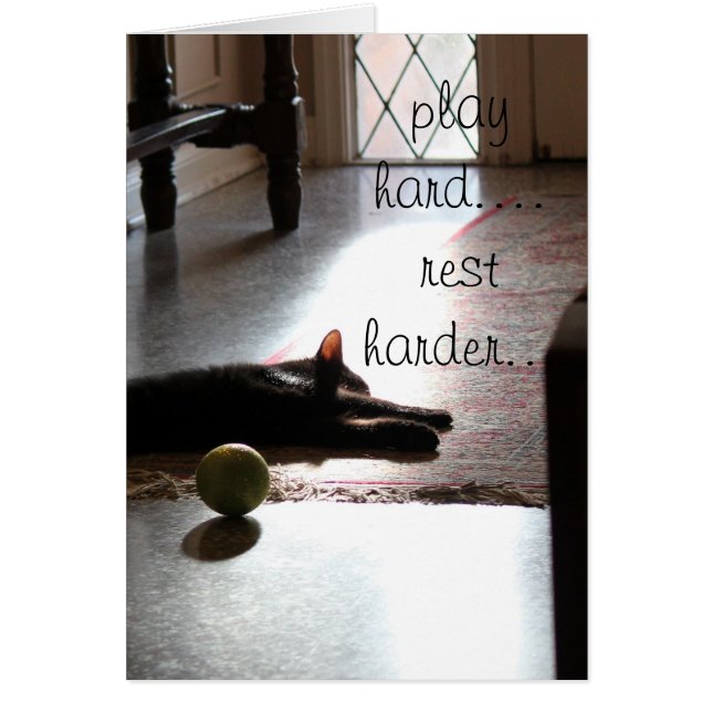 懸命の…残りのおもちゃが付いているより堅い睡眠の子猫を遊んで下さい (正面)