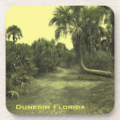 懸命カスタムプラスチックのコースターDunedin Florida コースター (正面)
