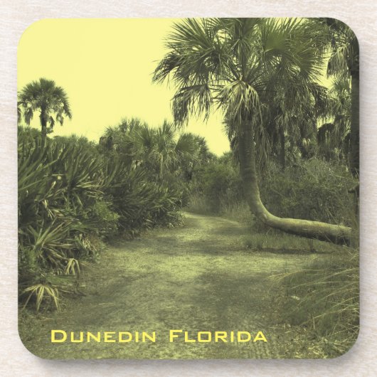 懸命カスタムプラスチックのコースターDunedin Florida コースター (正面)