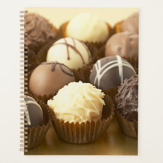 懸命カバー毎日プランナー プランナー手帳 (正面)