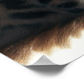 懸命パステルスケッチレオパード ポスター (角)