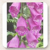 懸命プラスチックのコースターとコルクバック – 6のセット コースター (正面)