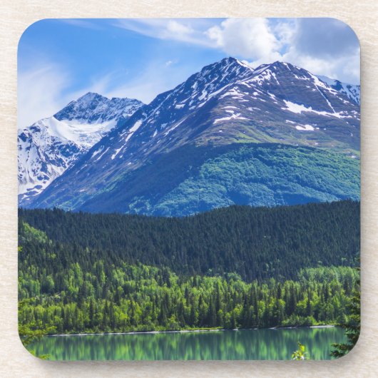 懸命プラスチックのコースターセット6 コースター (正面)