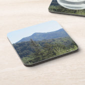 懸命プラスチックのコースターマウントタマルパイスソーグリーン コースター (左側)