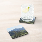 懸命プラスチックのコースターマウントタマルパイスソーグリーン コースター (右側)