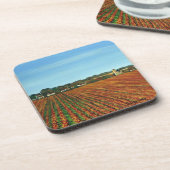 懸命プラスチックばいせん コースター (左側)