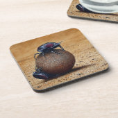 懸命プラスチックばいせん コースター (左側)