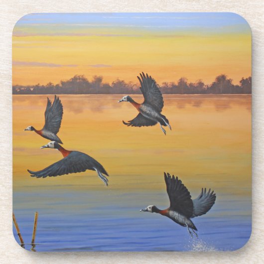 懸命プラスチックコースター コースター (正面)