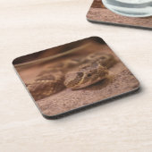 懸命プラスチック塗装機 コースター (左側)