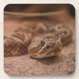 懸命プラスチック塗装機 コースター