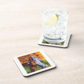 懸命プラスチック疑問に思コースターのスター コースター (右側)