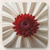 懸命プラスティックコースターとジャパナーゼ コースター (正面)