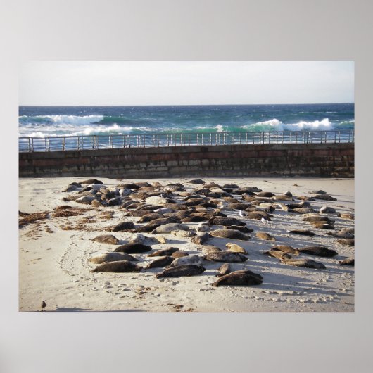 懸命日 ポスター (正面)