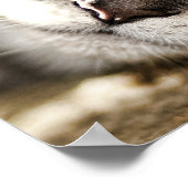 懸命日 ポスター (角)