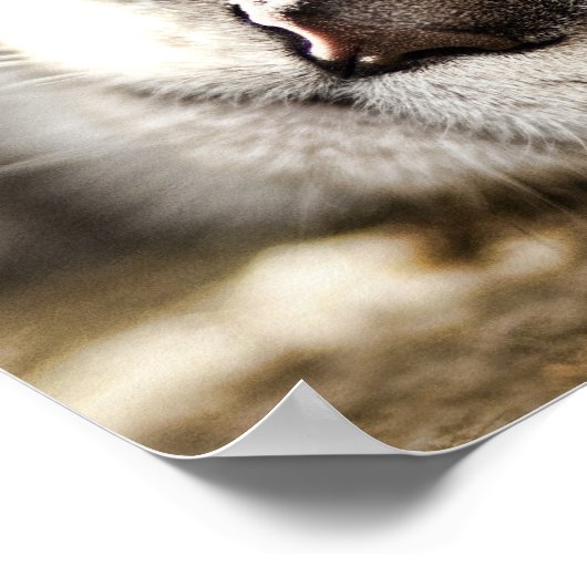 懸命日 ポスター (角)