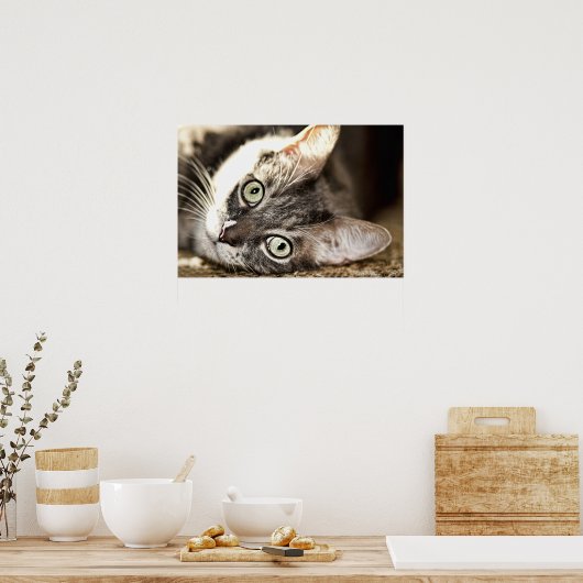 懸命日 ポスター (キッチン)