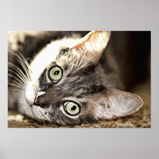 懸命日 ポスター