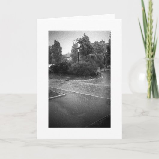 懸命RAINカード カード (正面)