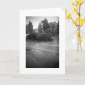 懸命RAINカード カード (黄色い花)