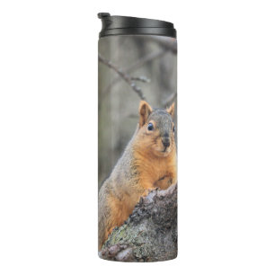 懸垂型 タンブラー