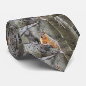 懸垂型 ネクタイ (ロール)