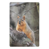 懸垂型 ミニクリップボード (裏面)