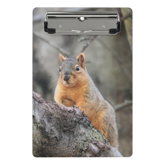 懸垂型 ミニクリップボード (正面)