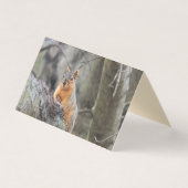 懸垂型 名刺 (正面)