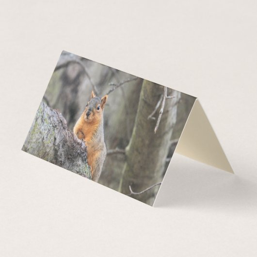 懸垂型 名刺 (正面)