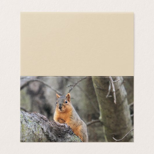 懸垂型 名刺 (外部フラット)