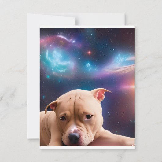 戌年 シーズンカード (正面)