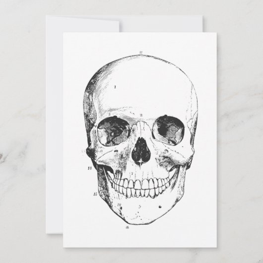 成人ハローウィンパーティヴィンテージ不気味スカル 招待状 (裏面)