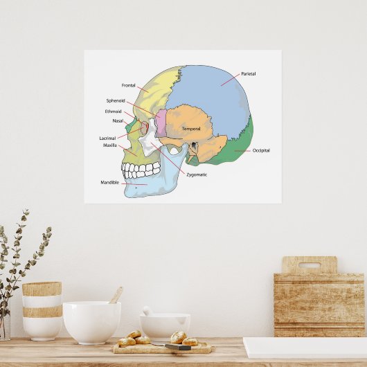 成人人間スカル図 ポスター (キッチン)