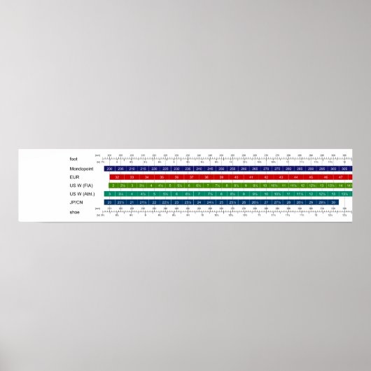 成人女性の靴サイズ比較表 ポスター (正面)