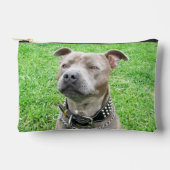 成人男性（犬）スタッフォードのブル・テリアが座っていた アクセサリーポーチ (正面)